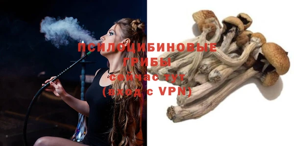 молекула духа Алзамай
