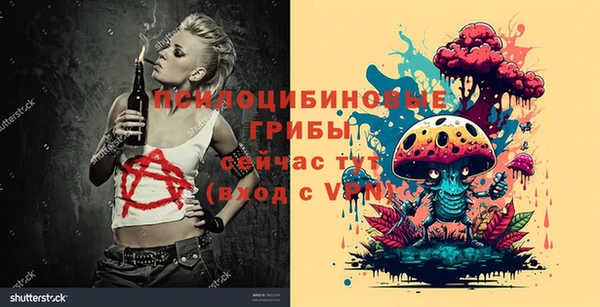 молекула духа Алзамай